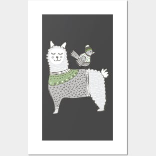 Sweater Wearing Alpaca Posters and Art